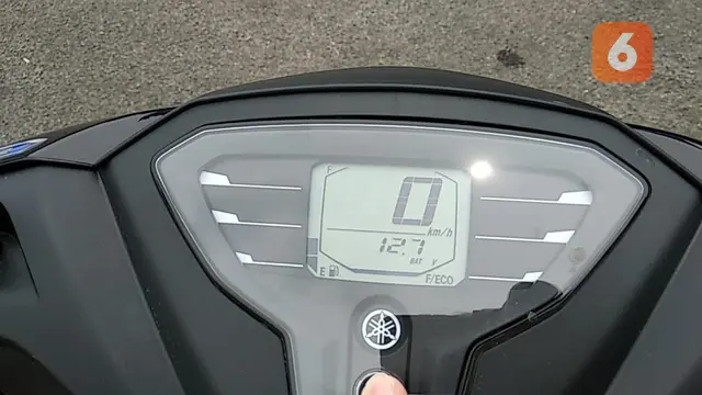 Yamaha FreeGo