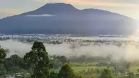 Gunung Pesagi di Lampung, Sulawesi Selatan. (Dok: Instagram @hery_yt_)