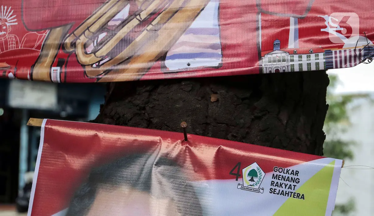 Pemasangan paku di pohon dalam jangka panjang dapat memengaruhi pertumbuhan dan kesehatan pohon. (Liputan6.com/Angga Yuniar)