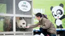 Seorang pengasuh memberi makan panda bernama Lebao dalam acara penyambutan sepasang panda yang berasal dari Cina di Bandara Internasional Incheon, Korea Selatan , (3/3). Lebao sendiri berarti harta yang menyenangkan. (REUTERS / Ha Sa - hyun)