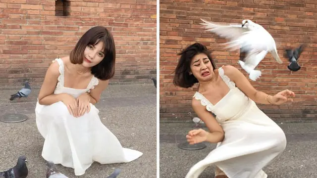 bts foto