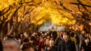 Orang-orang berjalan di bawah pohon ginkgo dalam warna musim gugur di Taman Luar Kuil Meiji di Tokyo, Kamis (18/11/2021). Pada pertengahan bulan November, barisan pohon ginkgo yang ada di taman ini akan berubah warna menjadi kuning keemasan. (Philip FONG / AFP)