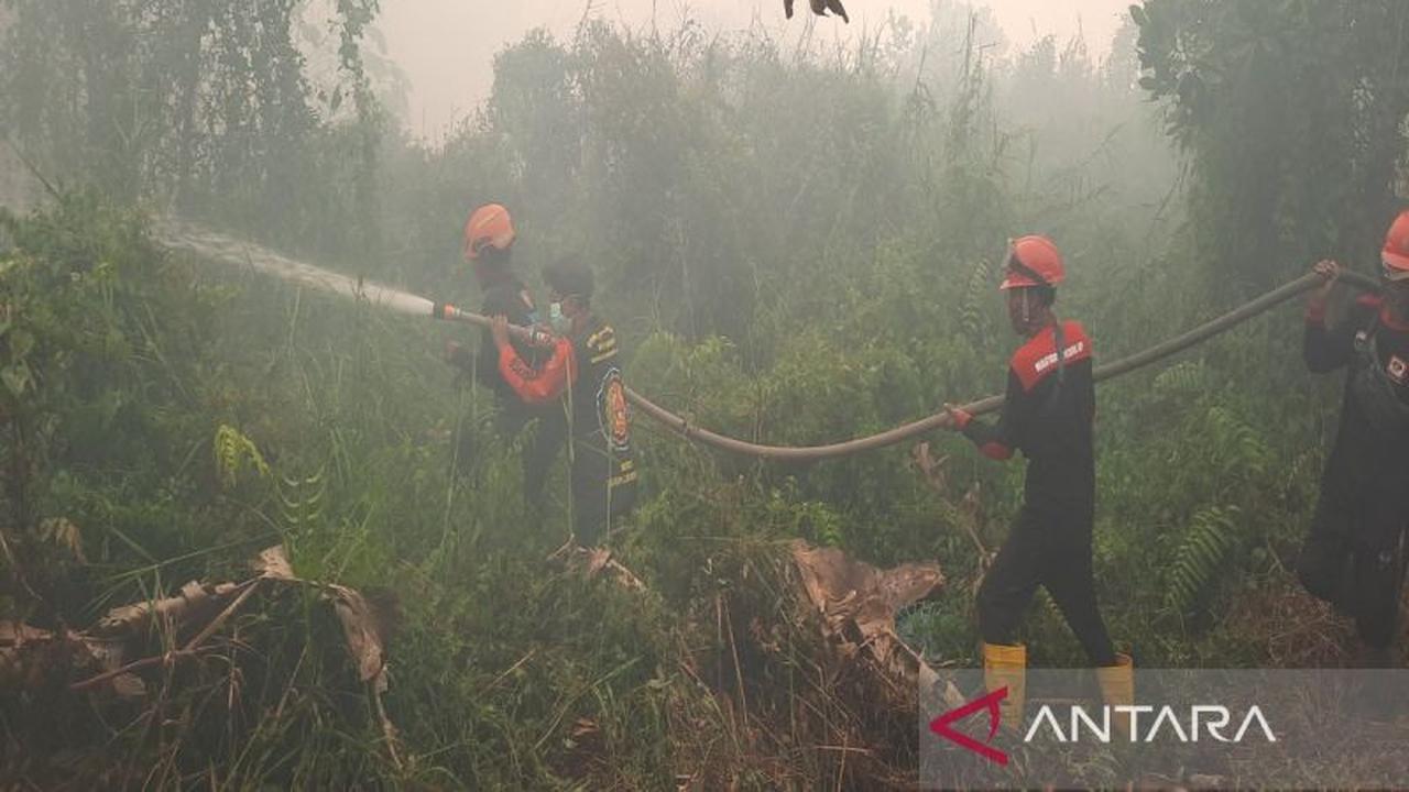 Kebakaran Hutan Mengganas, Dua Kompleks Perumahan di Banjarbaru Terancam