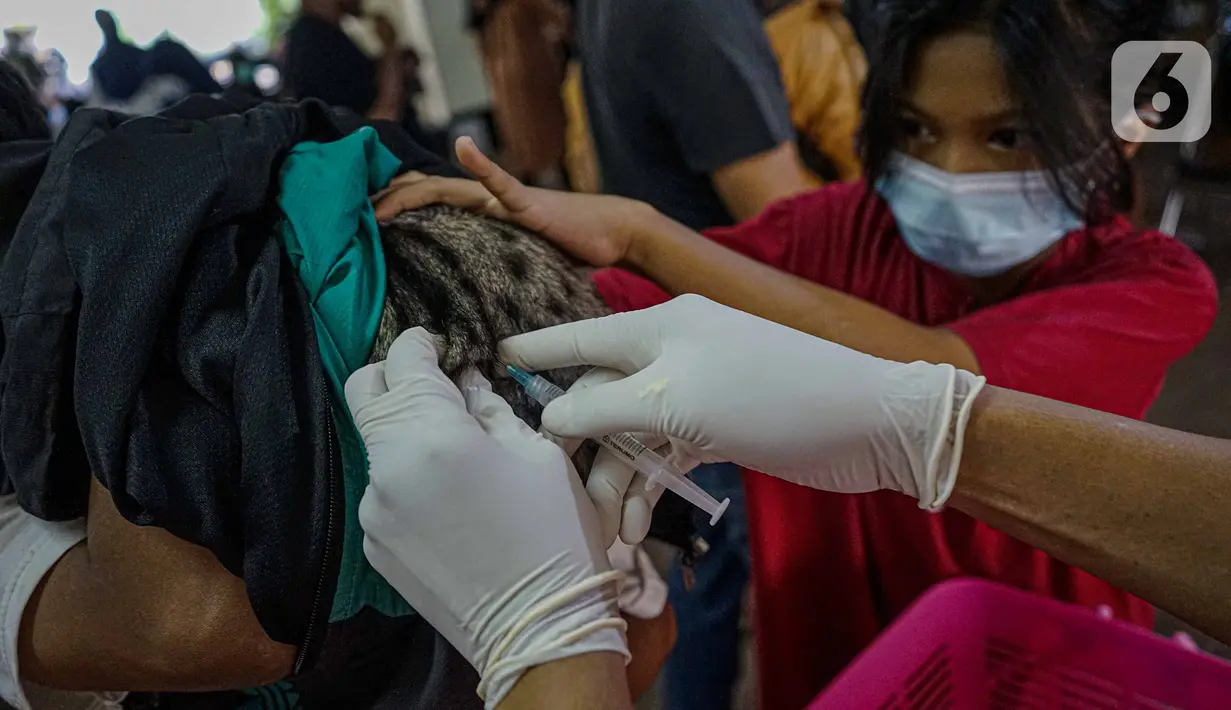 Warga memegang kucing peliharaannya saat disuntik vaksin rabies di kantor kelurahan Petukangan Selatan, Jakarta, Rabu (15/9/2021). Dinas Ketahanan Pangan dan Pertanian memberikan vaksinasi rabies bagi hewan peliharaan milik warga untuk mengantisipasi penyakit rabies. (Liputan6.com/Faizal Fanani)