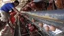 Peternak mengambil telur ayam ras pada sebuah peternakan ayam di kawasan Gunung Sindur, Bogor, Jawa Barat, Kamis  (09/07/2026).