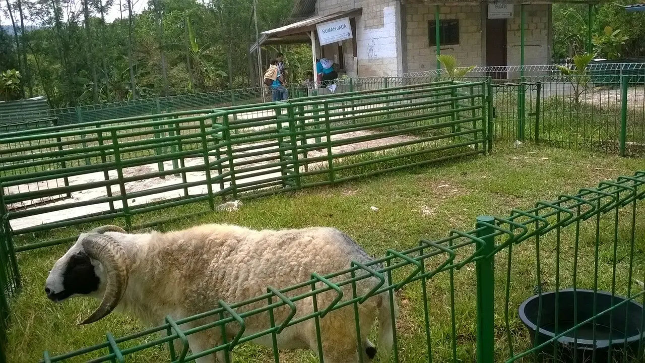 Desa Ini Punya Tempat Latihan Berwirausaha Seluas 6 Hektare
