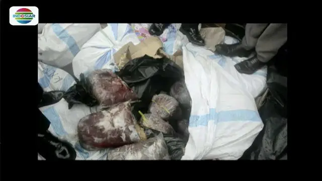 Polisi Gagalkan Penyelundupan Daging Celeng 900 Kilogram di Lampung Selatan