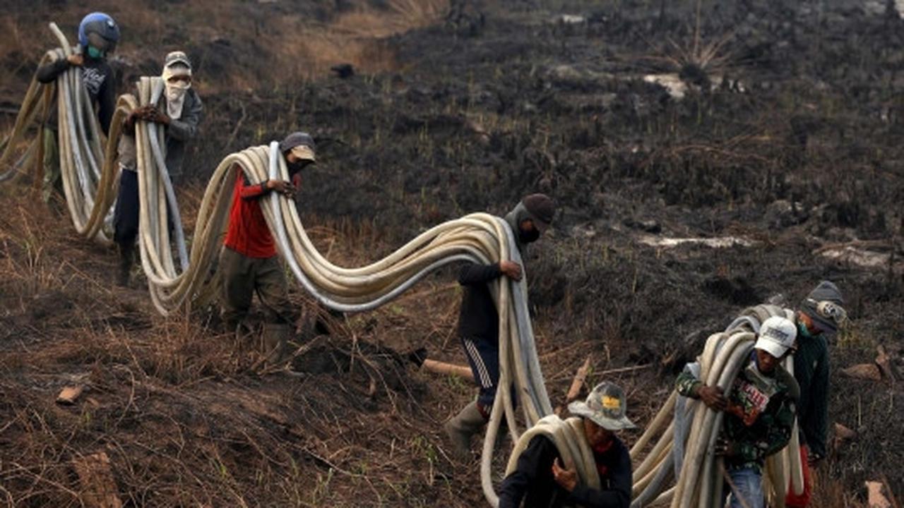 Kisah heroik warga Sumsel bantu padamkan kebakaran hutan