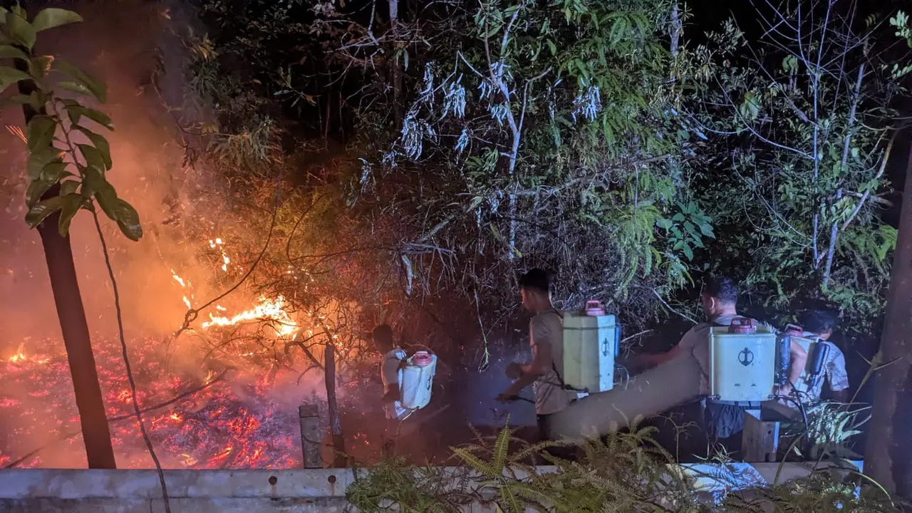 Bakar Rayap di Pohon Mati, Pria di Batam Jadi Tersangka Kebakaran 10 Hektare