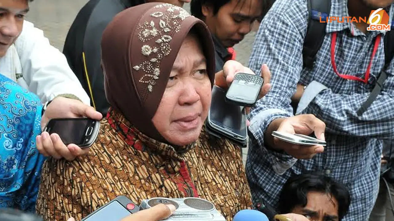 risma2-140219b.jpg