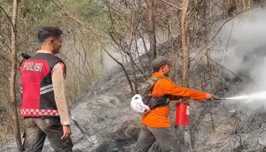 Kebakaran Gunung Sumbing Meluas, Ini Penyebab Sulit Padam