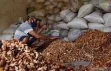 Harga Biji Kakao Melonjak Akibat Penutupan Selat Hormuz dan Penurunan Suplai