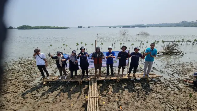 Paragon melakukan penanaman Mangrove di daerah Mauk, Kabupaten Tangerang
