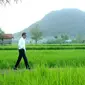 Presiden Jokowi menyusuri pematang sawah. (Instagram.com/jokowi)