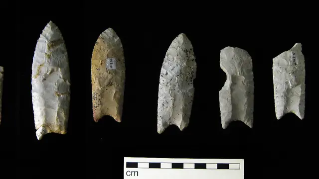 The Clovis
