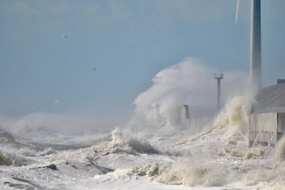 tsunami