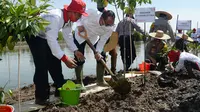 Gubernur Sumut, Edy Rahmayadi, menanam mangrove di Kabupaten Langkat.