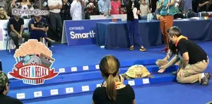 Di Dunia Nyata, Kura-kura Ini Menang Lomba Lari Melawan Kelinci 