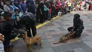 Detasemen pelacak kriminal umum dari unit K-9 Mabes Polri melakukan simulasi proteksi di tengah kegiatan car free day di kawasan Bundaran HI, Jakarta, Minggu (26/1/2020). Acara tersebut digelar untuk mensosialisasikan tugas unit K9 kepada masyarakat. (Liputan6.com/Johan Tallo)