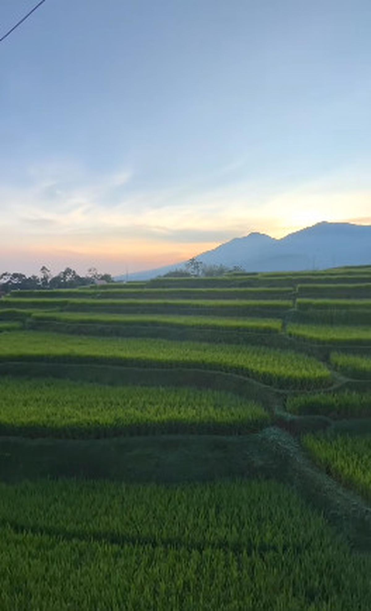 Definisi Jemur Pakaian Langsung 'Healing',