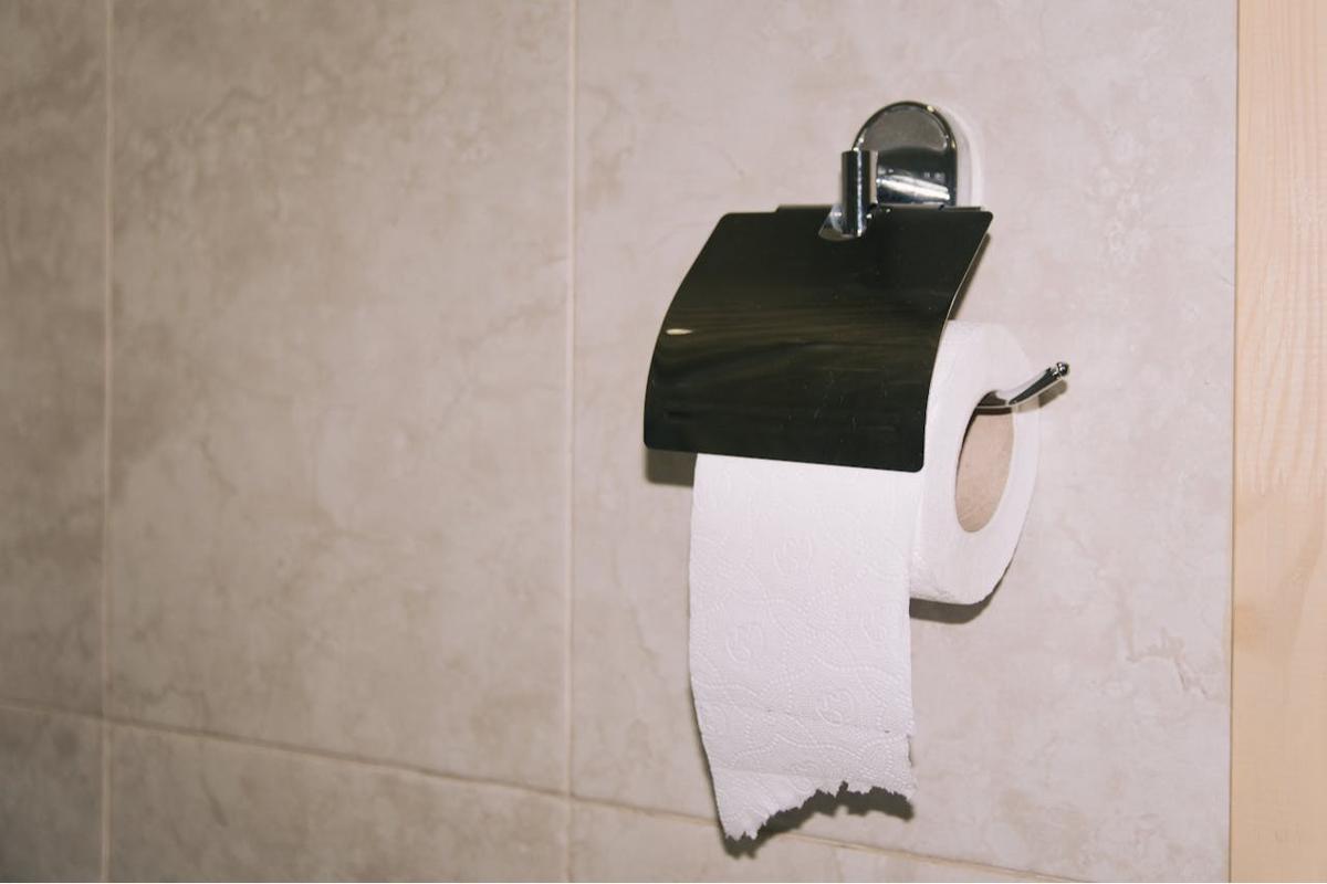 Tisu Toilet