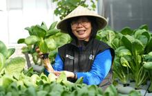 Dari Kartini untuk Bumi: BRI Berdayakan Perempuan Lewat Urban Farming Program BRInita