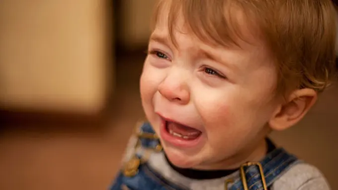 foto: copyright thinkstockphotos.com