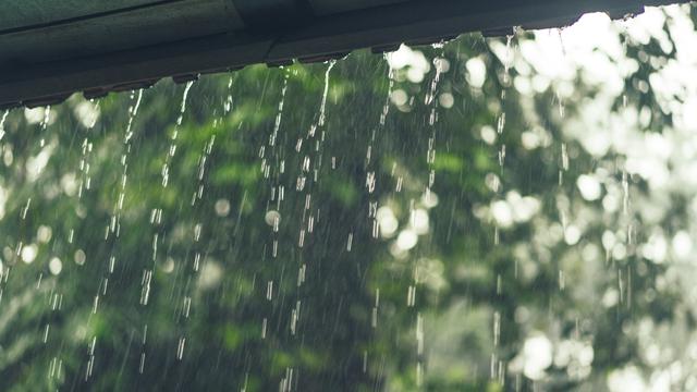 Ilustrasi musim hujan