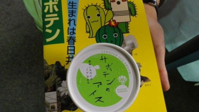 Rasa Es Krim Paling Unik (sumber: tripzilla)