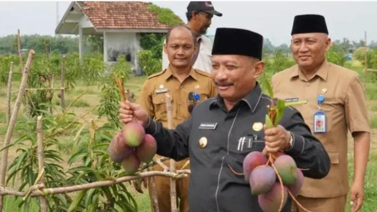 Asal Usul