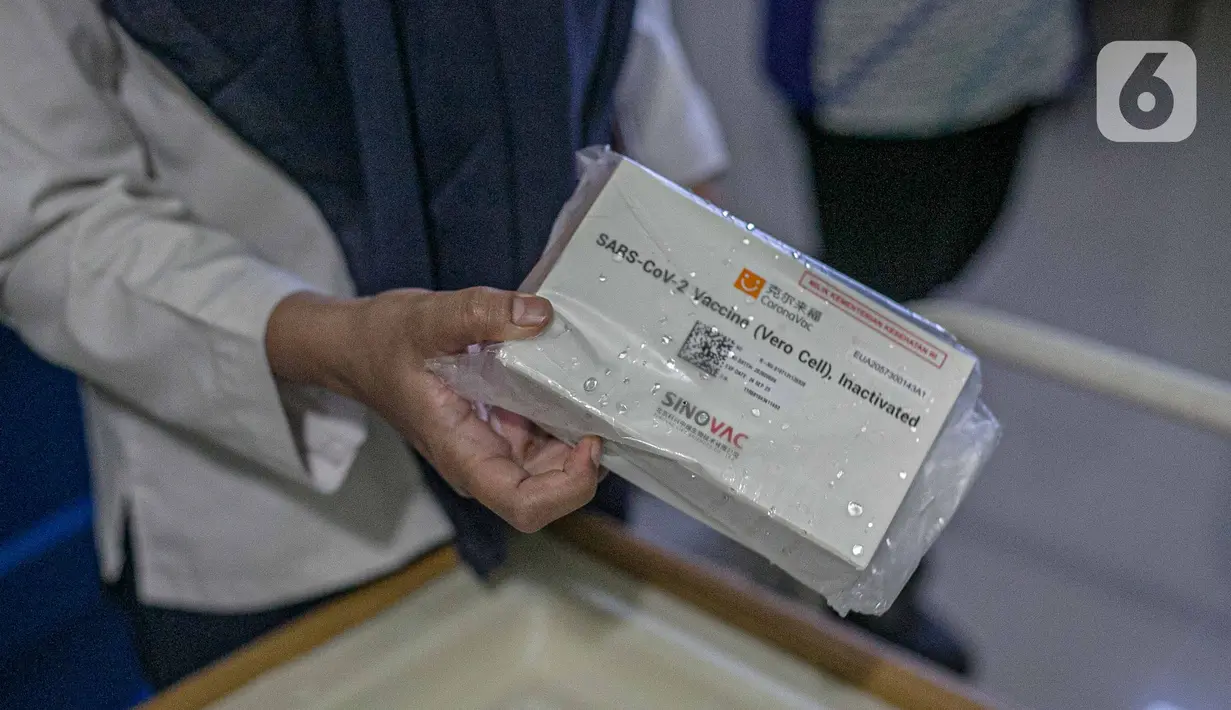 Petugas kesehatan menunjukkan vaksin Covid-19 buatan Sinovac Biotech Ltd. di Puskesmas Cilincing, Jakarta, Rabu (13/1/2021). Pemprov DKI akan menggelar vaksinasi di 453 fasilitas kesehatan DKI Jakarta dengan jumlah dosis vaksin yang sudah diterima sebanyak 39.200 vaksin. (Liputan6.com/Faizal Fanani)