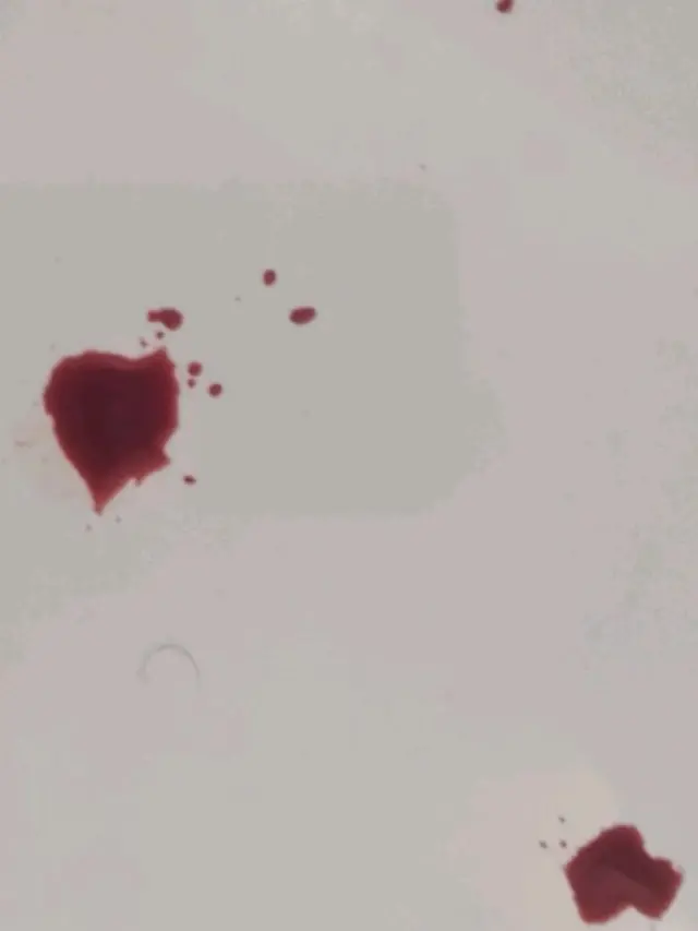 Ilustrasi. (foto: Pinterest/The Crimms).