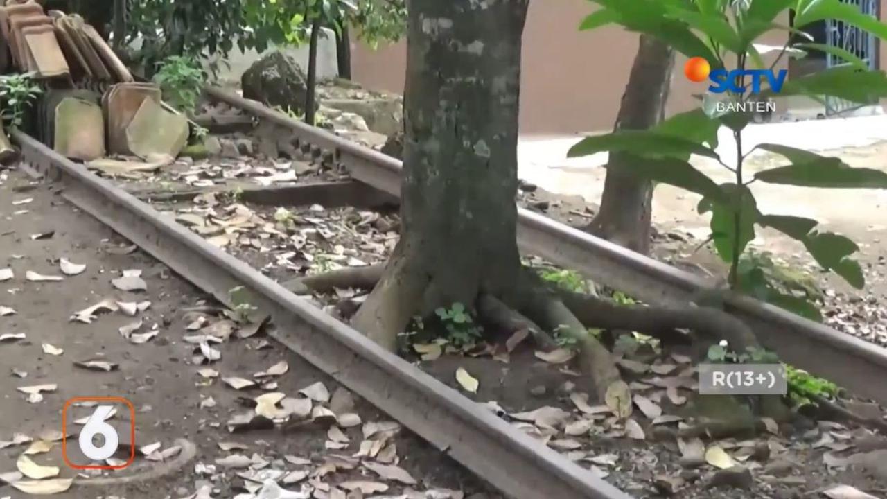 Rel Ditumbuhi Pohon dan Tembus ke Rumah Warga