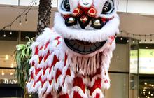 Meriahkan Tahun Baru Imlek 2025! “Orient Vibes – The Year of Snake” Hadir di Central Park dan Neo Soho Mall