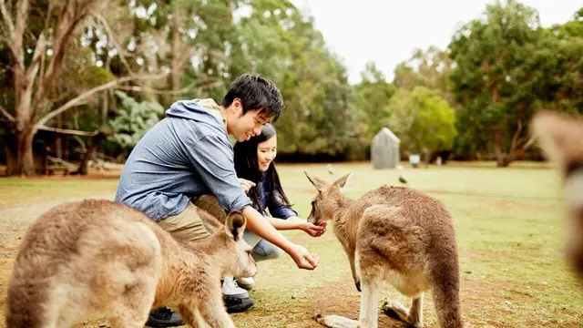 Serunya Eksplorasi Destinasi Baru di Australia