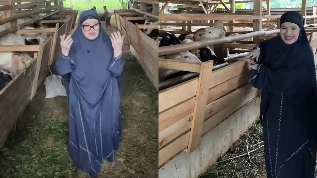 Potret Kandang Kambing Ibu Fadil Jaidi