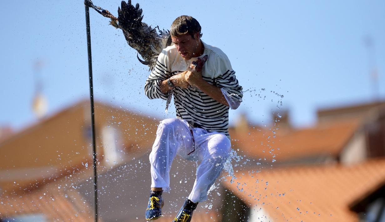 Seorang pemuda bergelayutan pada sebuah tali dengan hanya berpegangan pada kepala seekor angsa mati pada Hari angsa atau Antzar Eguna di Spanyol, Minggu (6/9/2015). Acara ini pernah dikecam oleh para aktivis binatang. (REUTERS/Vincent West)