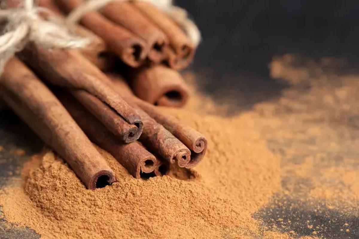 10 Cara Alami Usir Semut Tanpa Bahan Kimia, Langkah Mudah yang Bisa Dilakukan Sendiri