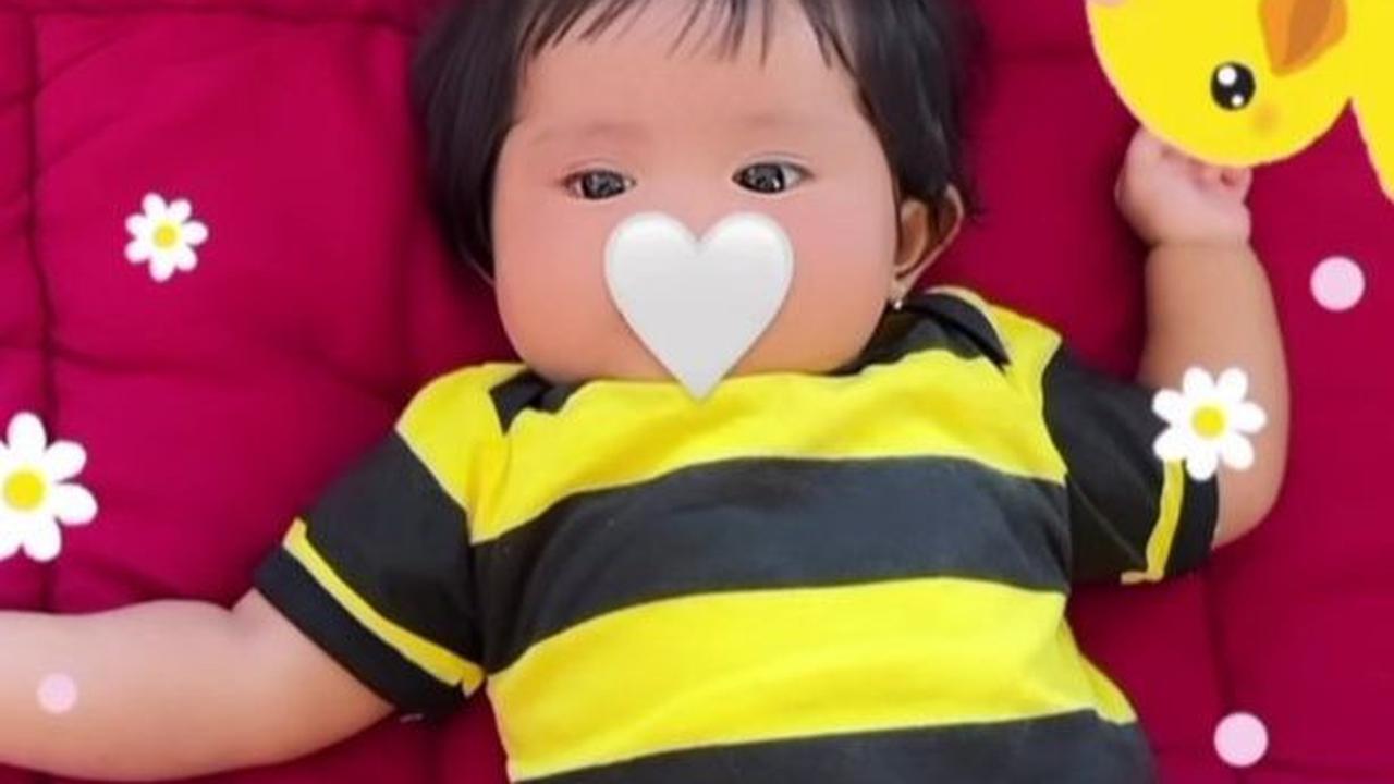 Kenakan Baju Lebah