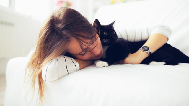 Ilustrasi tidur bersama kucing/Shutterstock