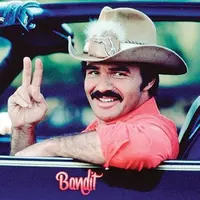 Burt Reynolds (Instagram: @pinkshabbyshed)