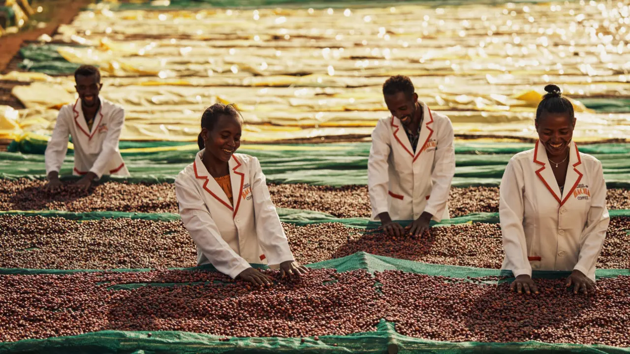 Mengetahui asal usul kopi di Journeys to the Source film dokumenter dari Bacha Coffee . Dok. Bacha Coffee