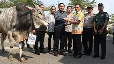 Direktur SCM Imam Sudjarwo menyerahkan sapi untuk hewan kurban secara simbolis di Studio 5 Indosiar, Jakarta Barat, Kamis (8/8/2019). PT SCM yang membawahi SCTV dan Indosiar menyerahkan sebanyak lima ekor sapi dan 60 kambing untuk disebar ke berbagai daerah di Jakarta. (Liputan6.com/Angga Yuniar)