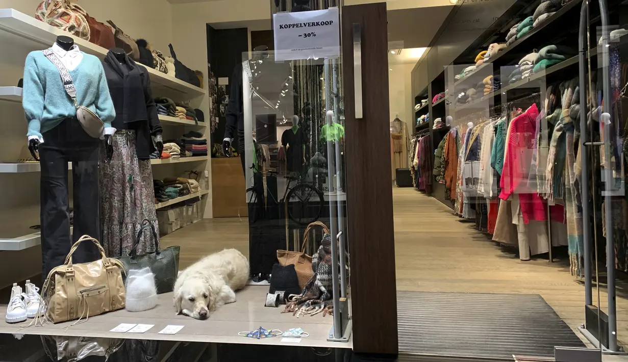 Seekor anjing tidur di etalase toko pakaian di Ghent, Belgia, Rabu (22/12/2021). Belgia memutuskan untuk lebih memperketat pembatasan guna mengantisipasi varian Omicron yang melonjak tetapi menghindari lockdown penuh seperti yang dilakukan Belanda. (AP Photo/Virginia Mayo)
