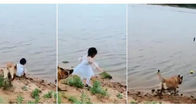 720+ Gambar Anak Kecil Jatuh Gratis