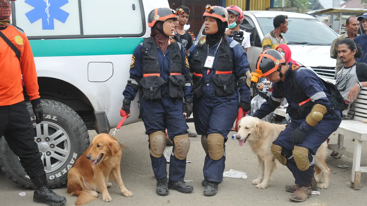 anjing pelacak
