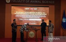 Fapet UGM Gelar Bimtek Budi Daya Kambing Domba, Tingkatkan Kesejahteraan 585 Peternak DIY