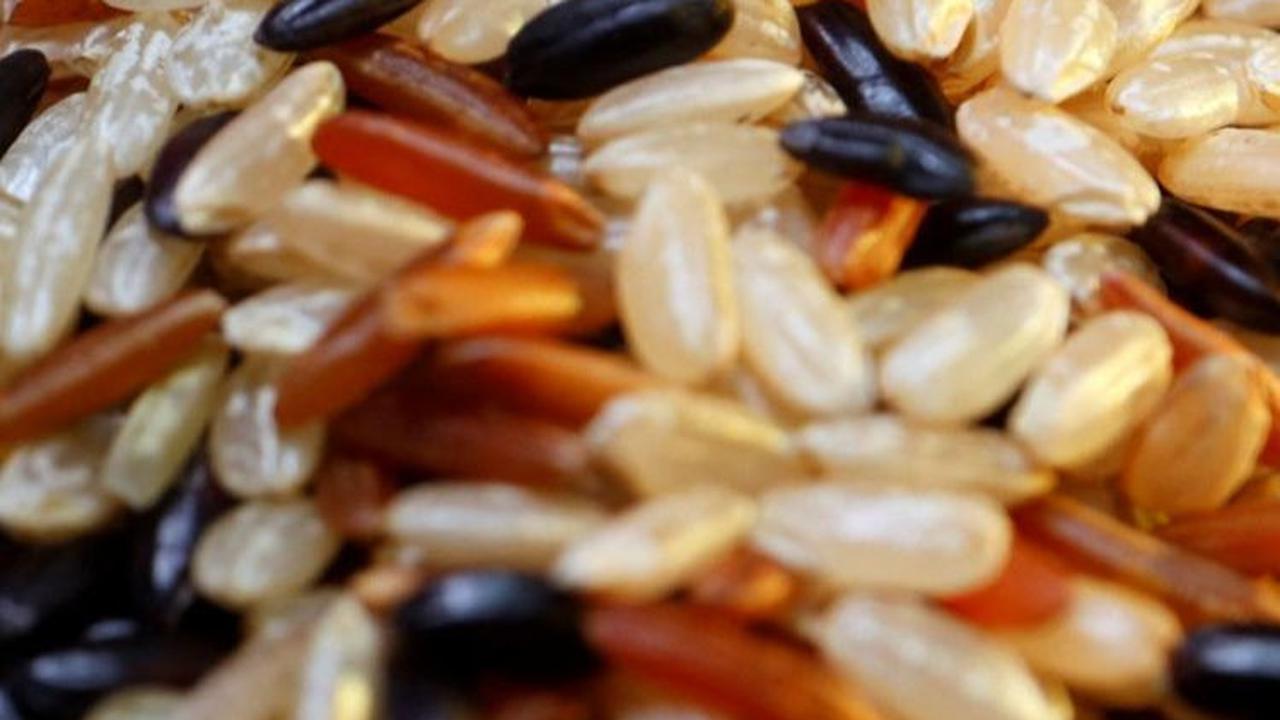Masyarakat Menjerit Harga Beras Terus Naik&nbsp;<br>