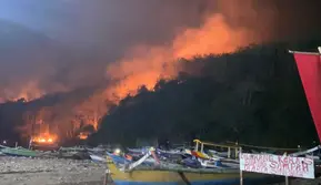 Kebakaran Gunung Watangan Jember Hanguskan 6,5 Hektare Hutan