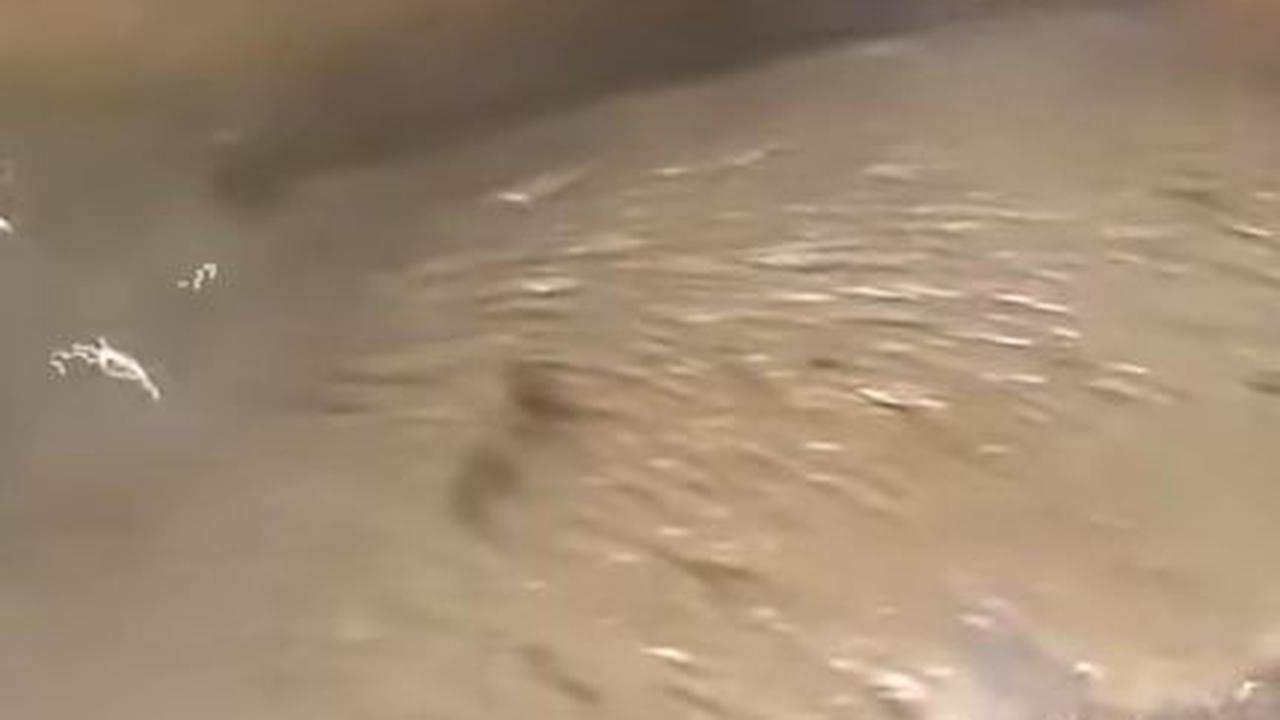 Rebus Lagi Sebentar